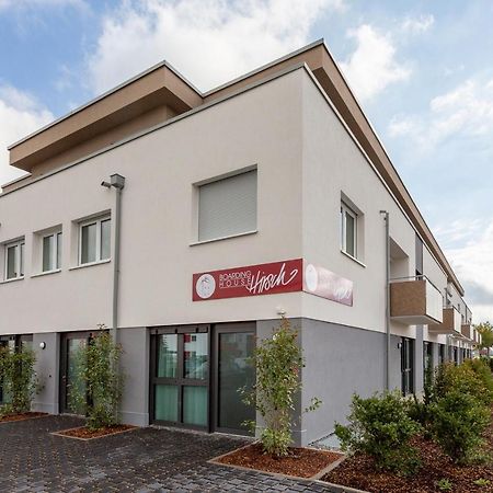 Boardinghouse Hirsch - Apartments In Kork Kehl Luaran gambar