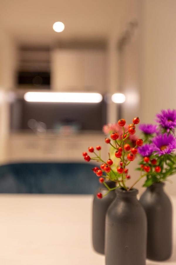 Boardinghouse Hirsch - Apartments In Kork Kehl Luaran gambar